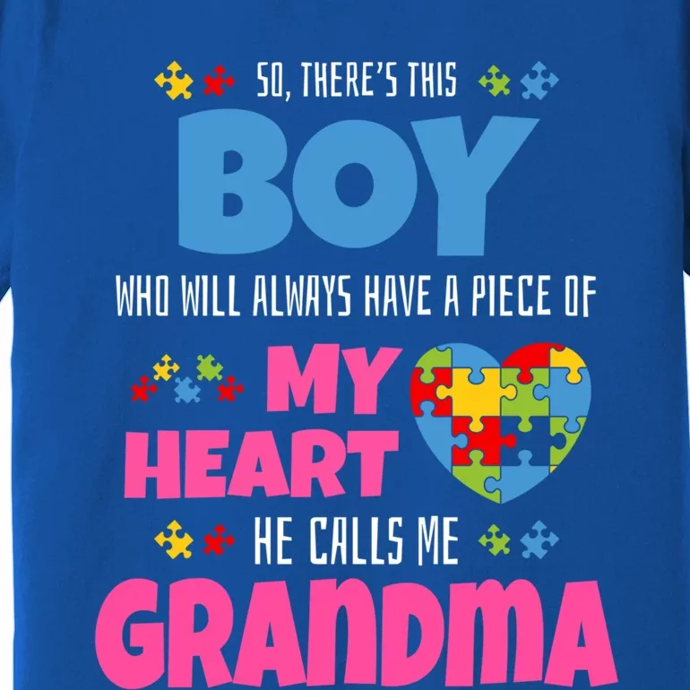 Autism Awareness Gift Autism Grandma Premium T-Shirt