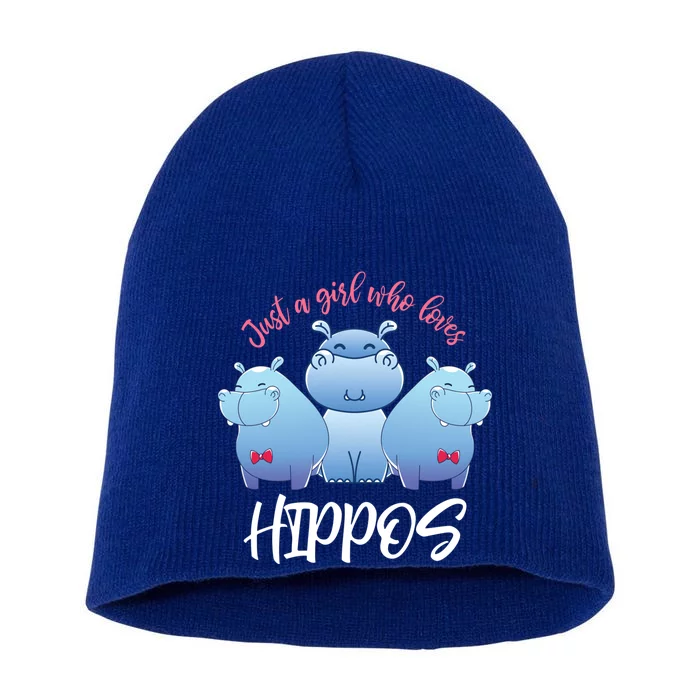 Africa Animal Gift Just A Who Loves Hippos Gift Short Acrylic Beanie