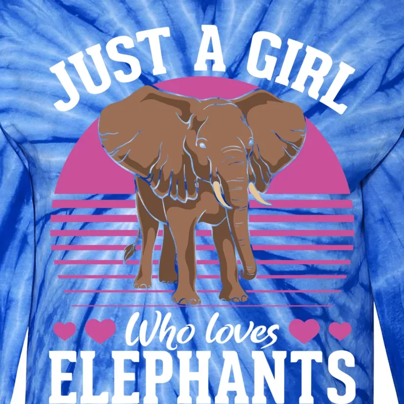 Africa Animal Lover Just A Who Loves Elephants Gift Tie-Dye Long Sleeve Shirt