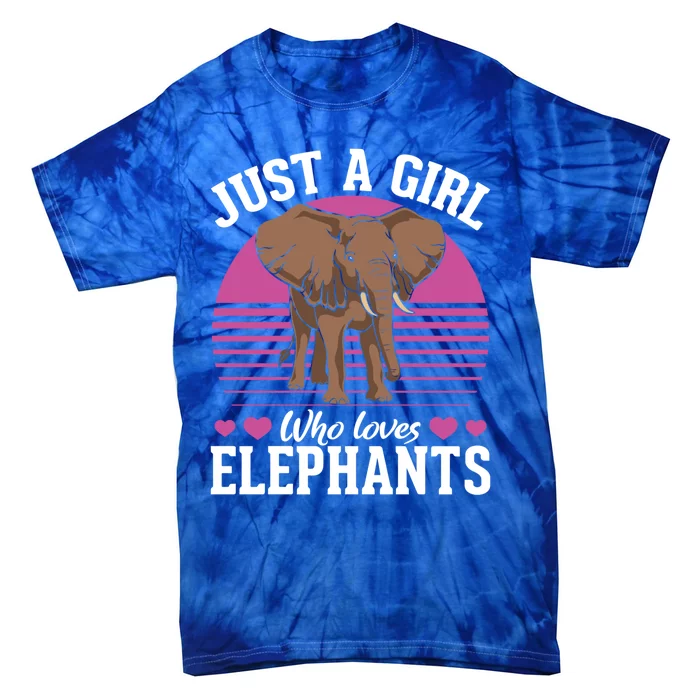 Africa Animal Lover Just A Who Loves Elephants Gift Tie-Dye T-Shirt