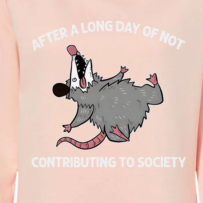 After A Long Day Of Not Contributing To Society Funny Quote Womens California Wash Sweatshirt