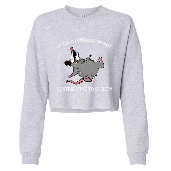 After A Long Day Of Not Contributing To Society Funny Quote Cropped Pullover Crew