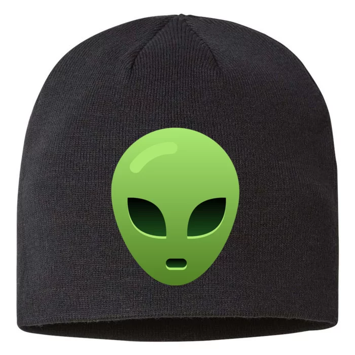 Alien 8 1/2in Sustainable Knit Beanie