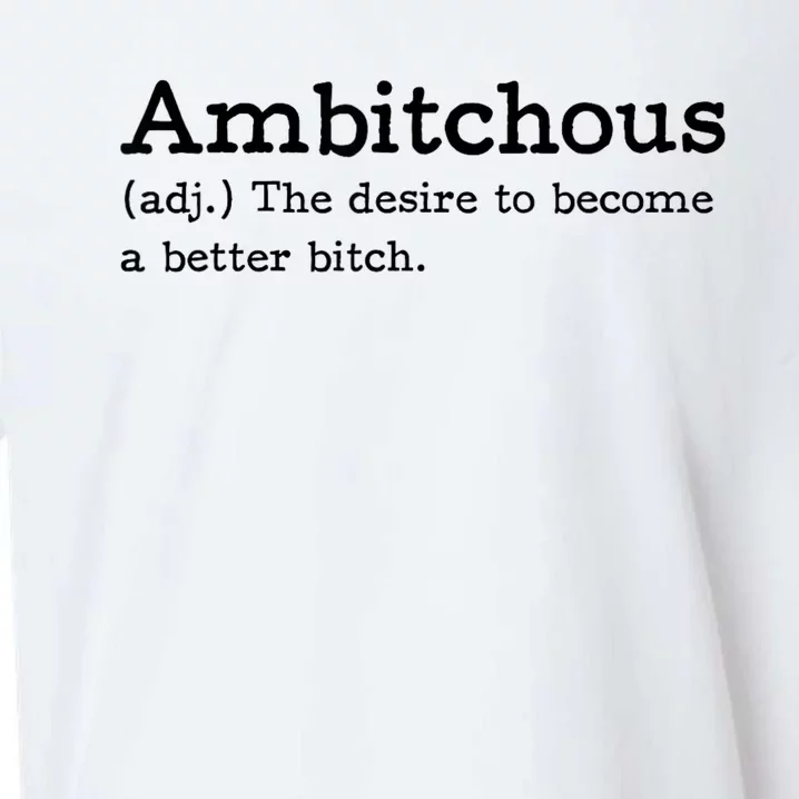 Ambitchous Adj Meaning Definitive Sueded Cloud Jersey T-Shirt