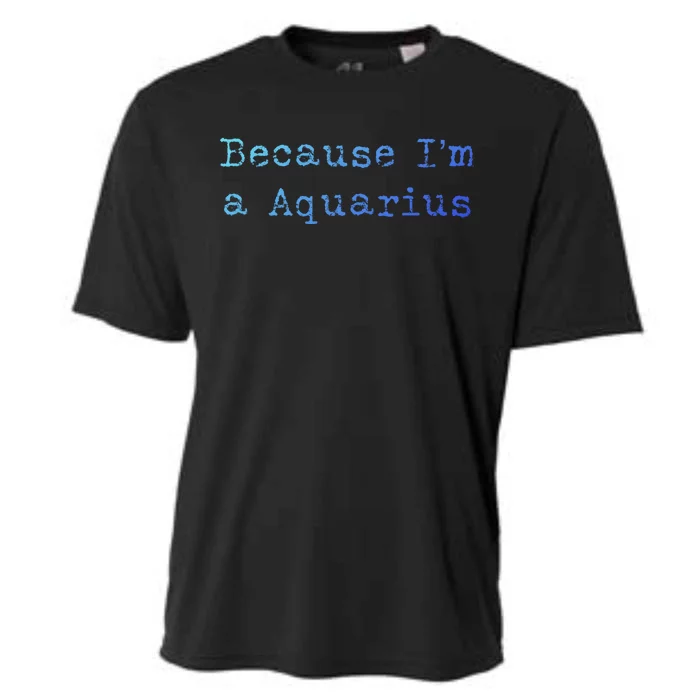 Aquarius Astrology Meaningful Gift Funny Aquarius Gift Great Gift Cooling Performance Crew T-Shirt