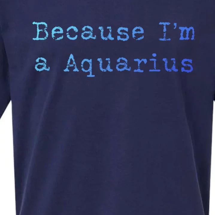 Aquarius Astrology Meaningful Gift Funny Aquarius Gift Great Gift Sueded Cloud Jersey T-Shirt