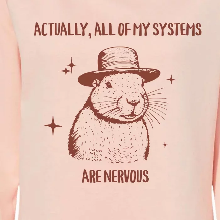 Actually All Of My Systems Are Nervous Womens California Wash Sweatshirt