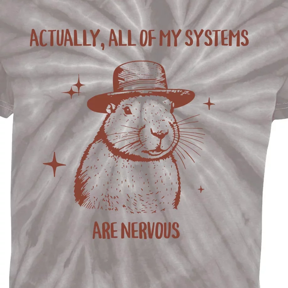 Actually All Of My Systems Are Nervous Kids Tie-Dye T-Shirt