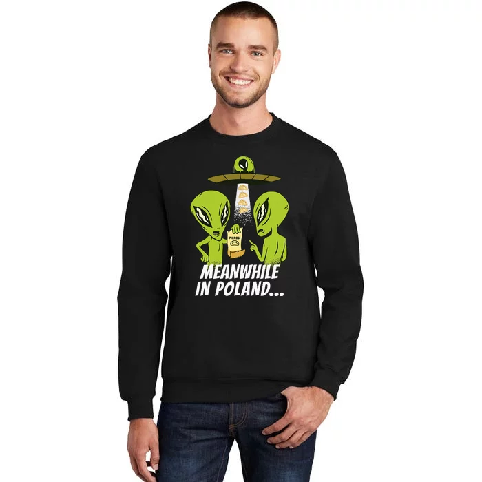 Alien Abduction Pierogi Polish Food Poland Polonia Funny Tall Sweatshirt