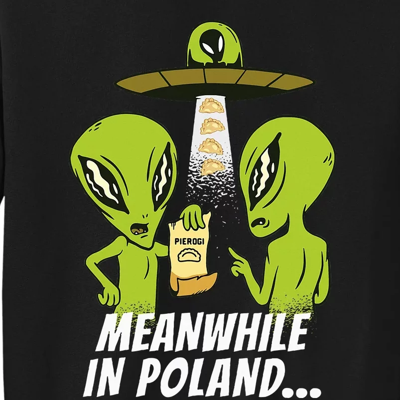 Alien Abduction Pierogi Polish Food Poland Polonia Funny Tall Sweatshirt