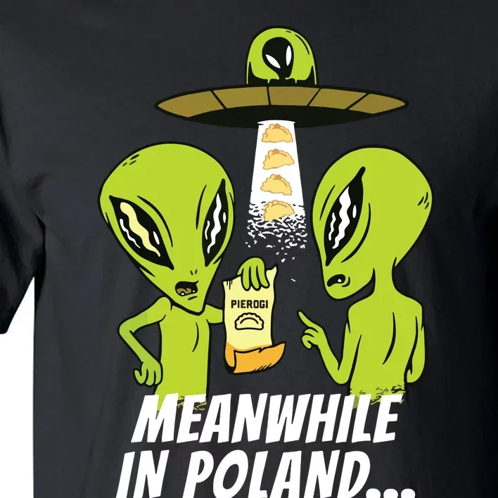 Alien Abduction Pierogi Polish Food Poland Polonia Funny Tall T-Shirt