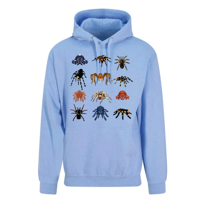 Animal Arachnid Tarantula Arthropod Halloween Gift Spider Unisex Surf Hoodie