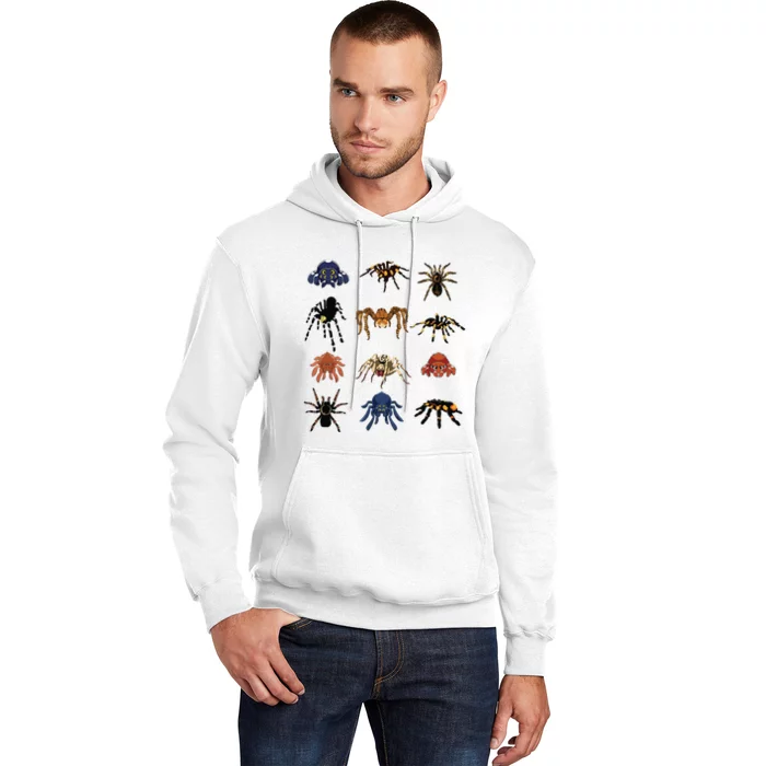 Animal Arachnid Tarantula Arthropod Halloween Gift Spider Hoodie