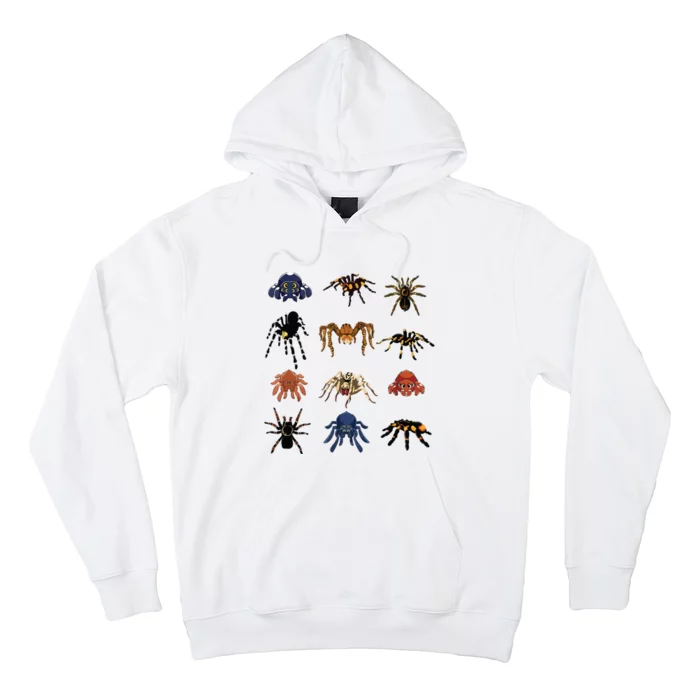 Animal Arachnid Tarantula Arthropod Halloween Gift Spider Hoodie