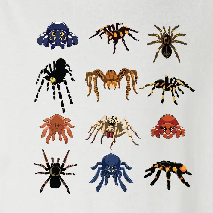 Animal Arachnid Tarantula Arthropod Halloween Gift Spider Toddler Long Sleeve Shirt