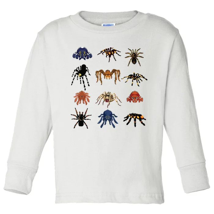 Animal Arachnid Tarantula Arthropod Halloween Gift Spider Toddler Long Sleeve Shirt