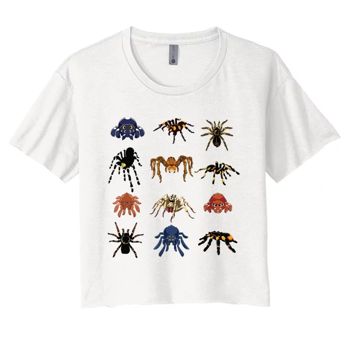 Animal Arachnid Tarantula Arthropod Halloween Gift Spider Women's Crop Top Tee