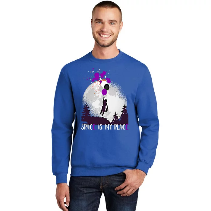 Asexual And Teddy Floating Space Is My Place Asexuality Gift Tall Sweatshirt