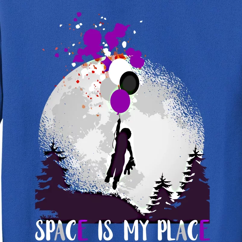 Asexual And Teddy Floating Space Is My Place Asexuality Gift Tall Sweatshirt