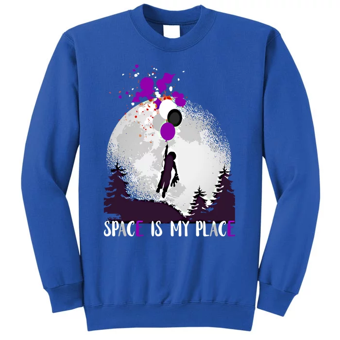 Asexual And Teddy Floating Space Is My Place Asexuality Gift Tall Sweatshirt