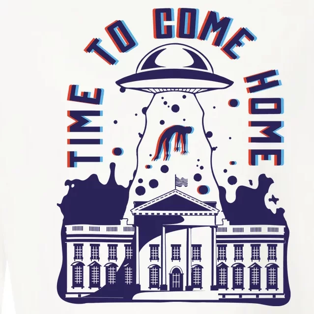 Alien Abduction White House Cropped Pullover Crew