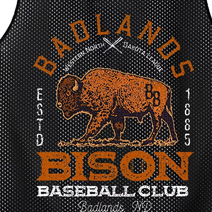 American Bison Baseball Retro Minor League Baseball Team Mesh Reversible Basketball Jersey Tank