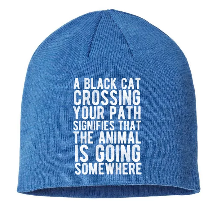 A Black Cat Crossing Your Path Funny Spooky Gift 8 1/2in Sustainable Knit Beanie