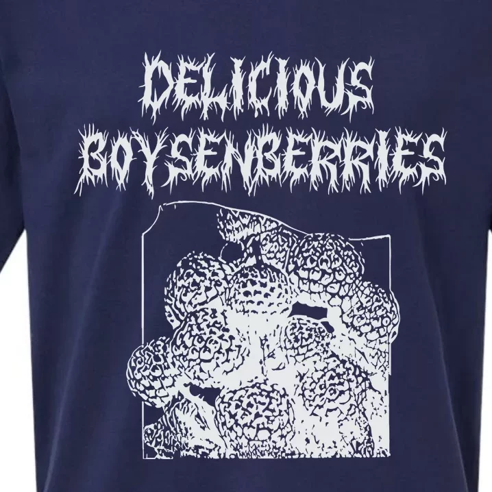 Arcane Bullshit Delicious Boysenberries Sueded Cloud Jersey T-Shirt