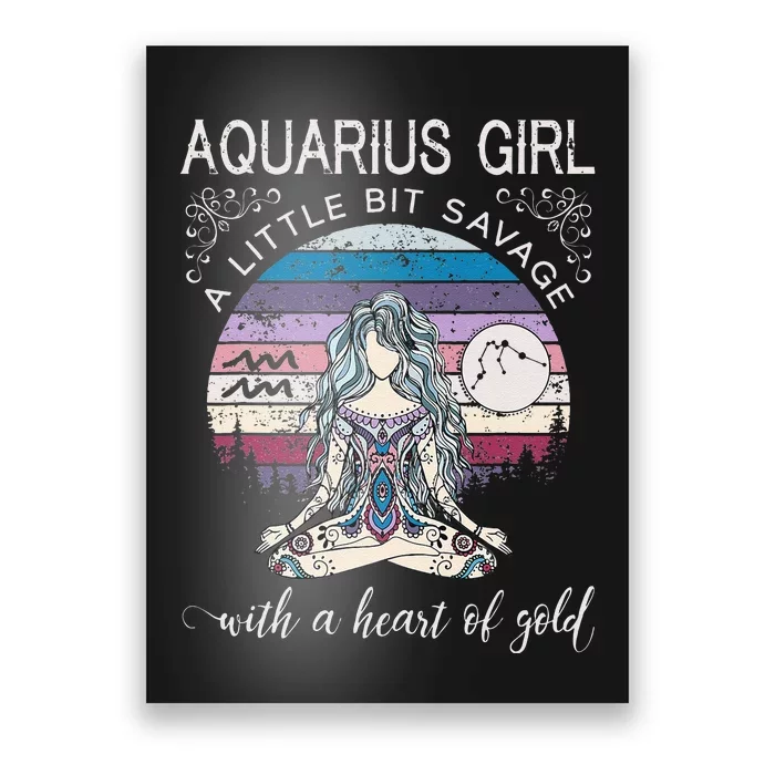 Aquarius Birthday For Women February Gift Poster