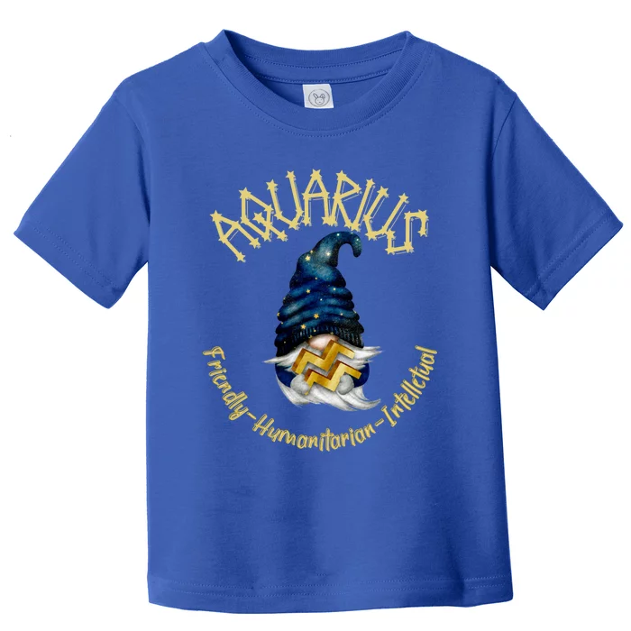 Aquarius Birthday Garden Gnome Zodiac Astrology February Gift Toddler T-Shirt