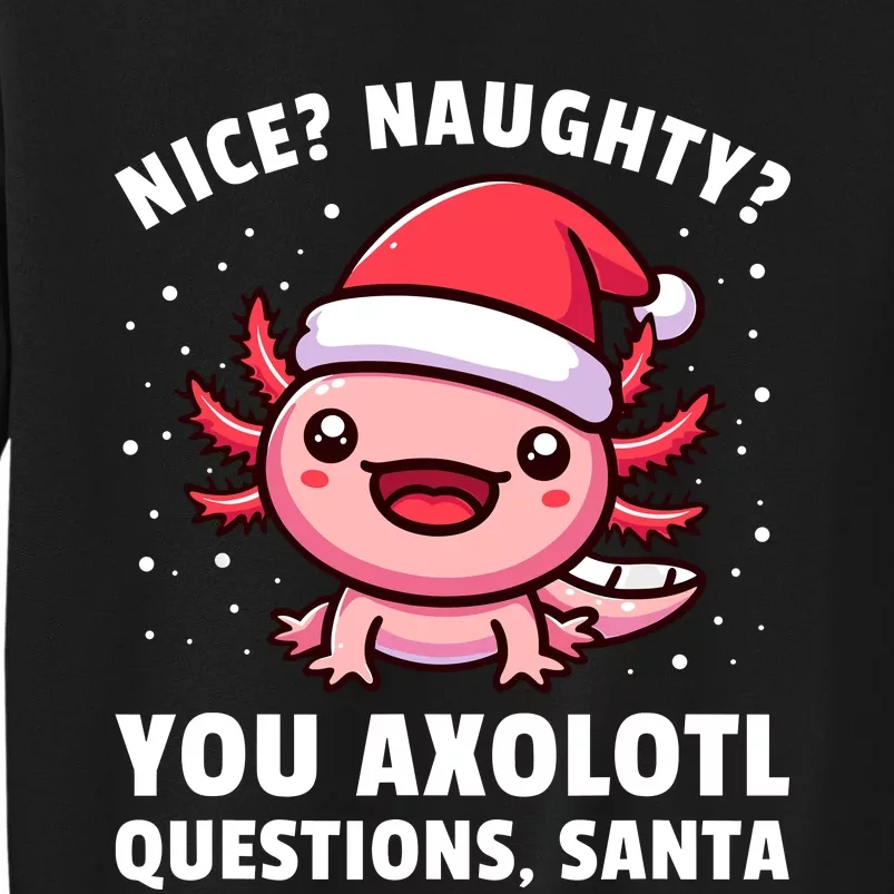 Axolotl Boy Girl Axolotl Questions Christmas Sweatshirt