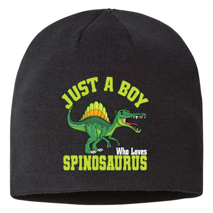 A Boy Loves Spinosaurus 8 1/2in Sustainable Knit Beanie