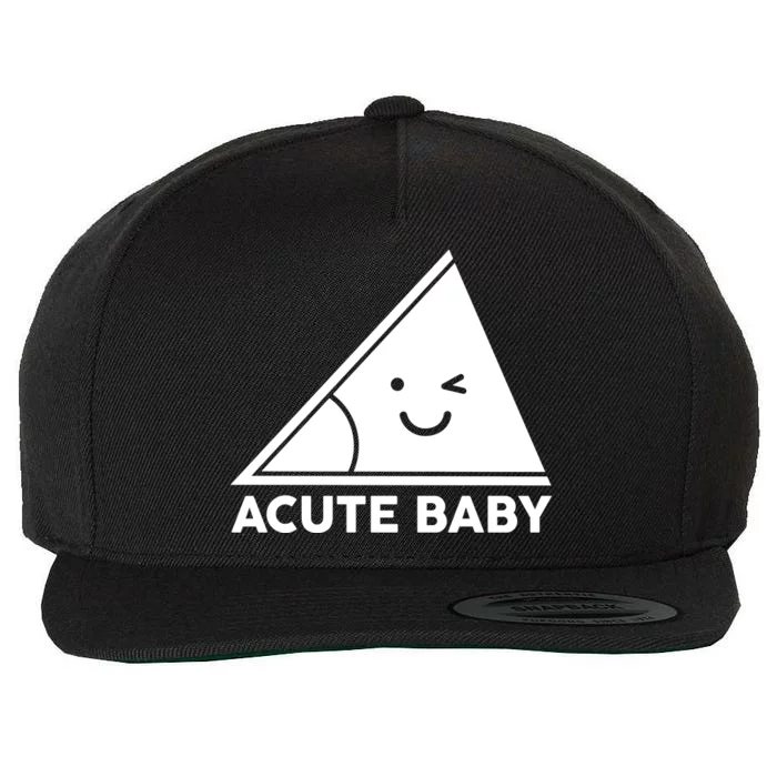 Acute Baby Matching Family Shirts Wool Snapback Cap