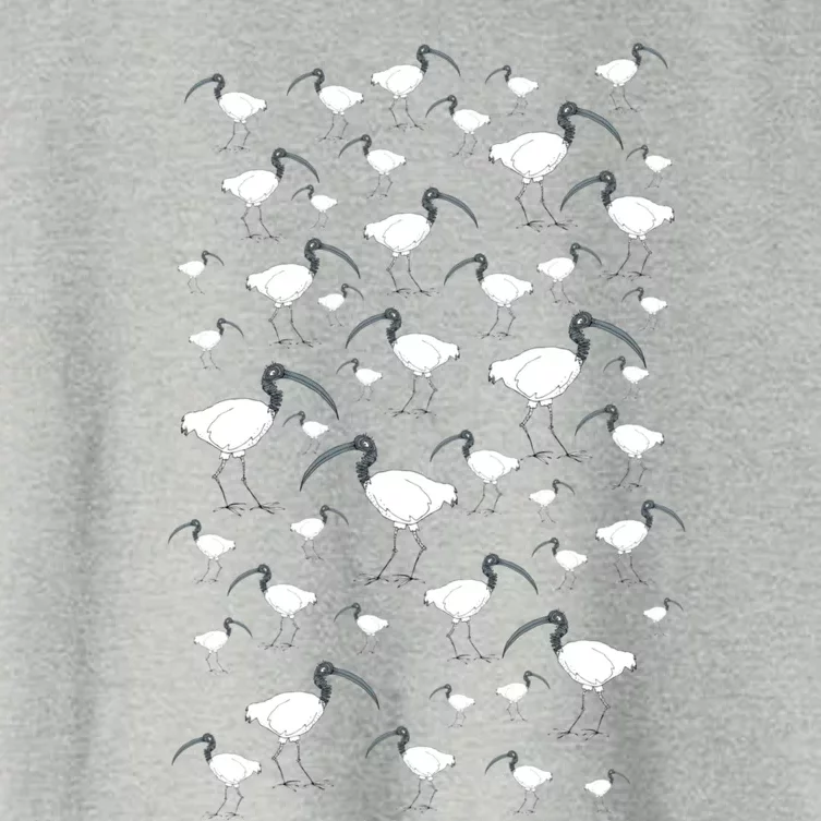 A Binfull Of Ibises Women's Crop Top Tee