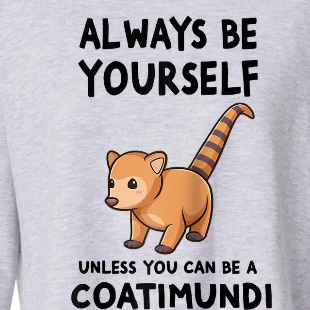 Always Be Yourself Unless You Can Be A Coatimundi Raglan Baseball Cropped Pullover Crew