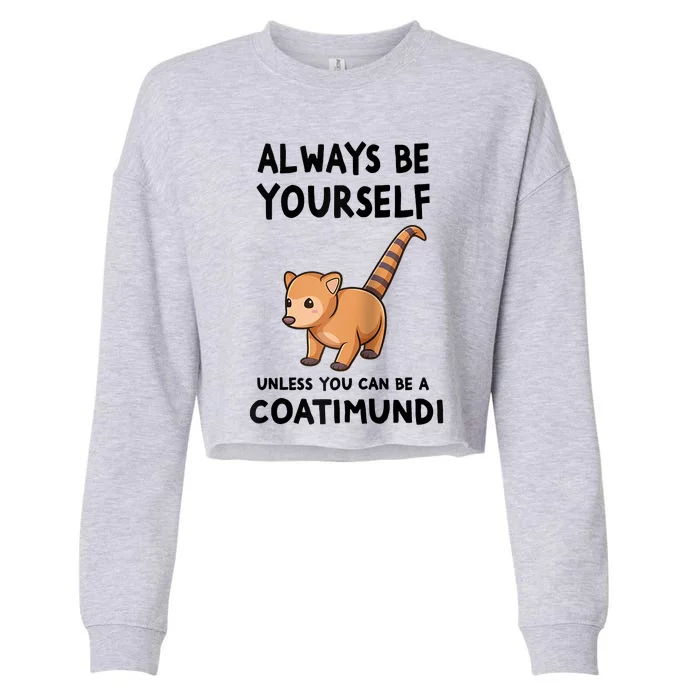 Always Be Yourself Unless You Can Be A Coatimundi Raglan Baseball Cropped Pullover Crew