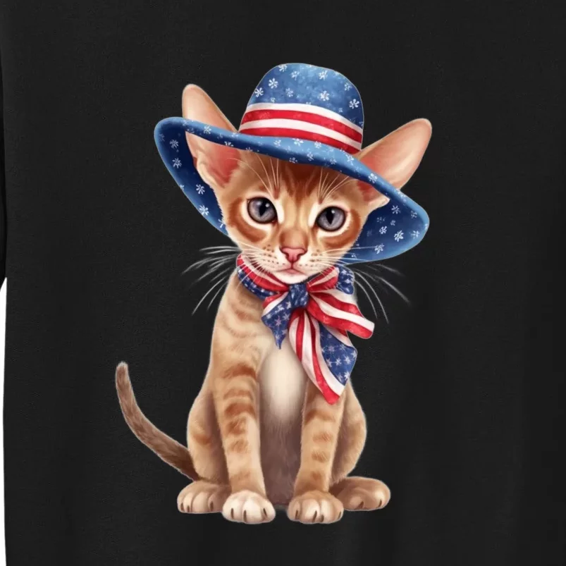 American Cat 4th Of July Cat Patriotic Cats Abyssinian Kitten Sweatshirt