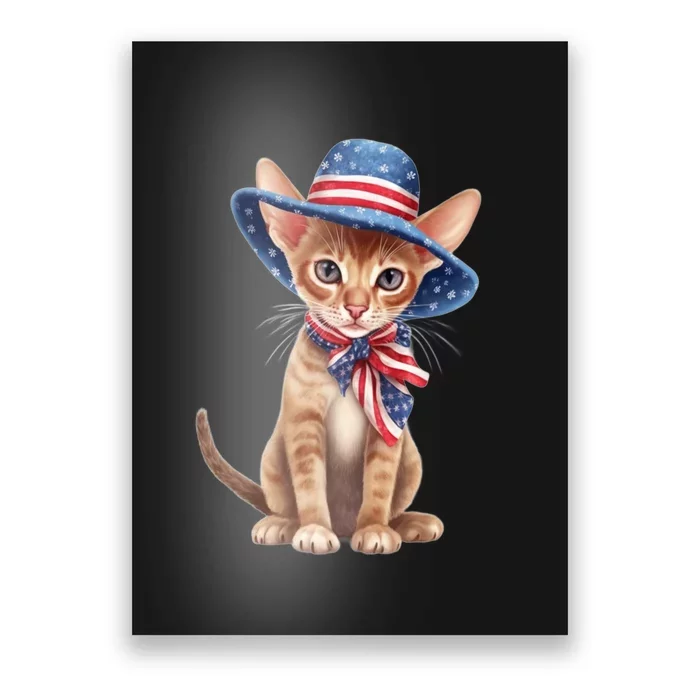 American Cat 4th Of July Cat Patriotic Cats Abyssinian Kitten Poster