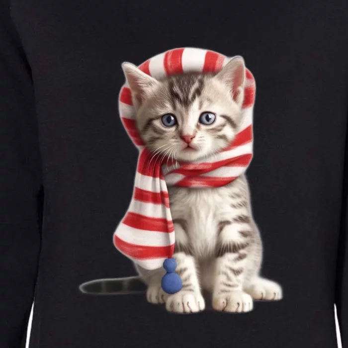 American Cat 4th Of July Cat Patriotic Cats American Shorthair Kitten Womens California Wash Sweatshirt