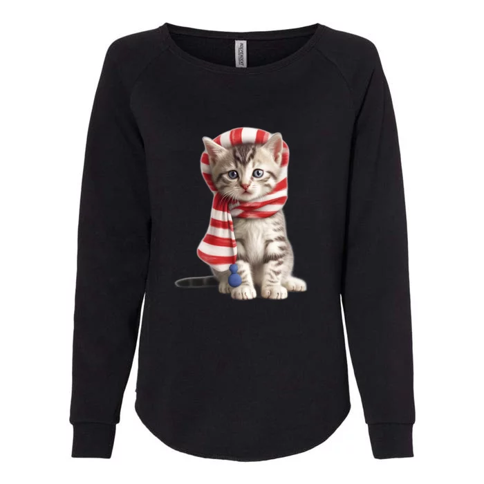 American Cat 4th Of July Cat Patriotic Cats American Shorthair Kitten Womens California Wash Sweatshirt