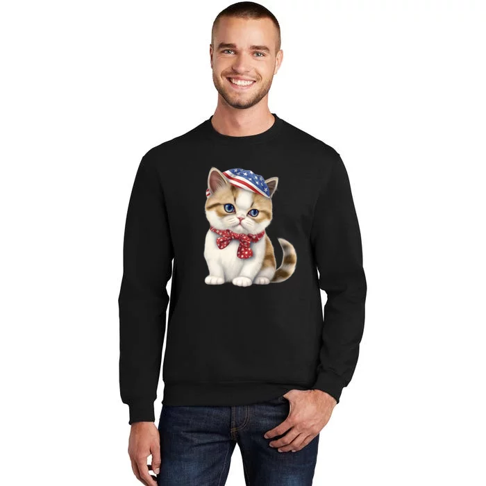 American Cat 4th Of July Cat Patriotic Cats Exotic Shorthair Kitten Tall Sweatshirt