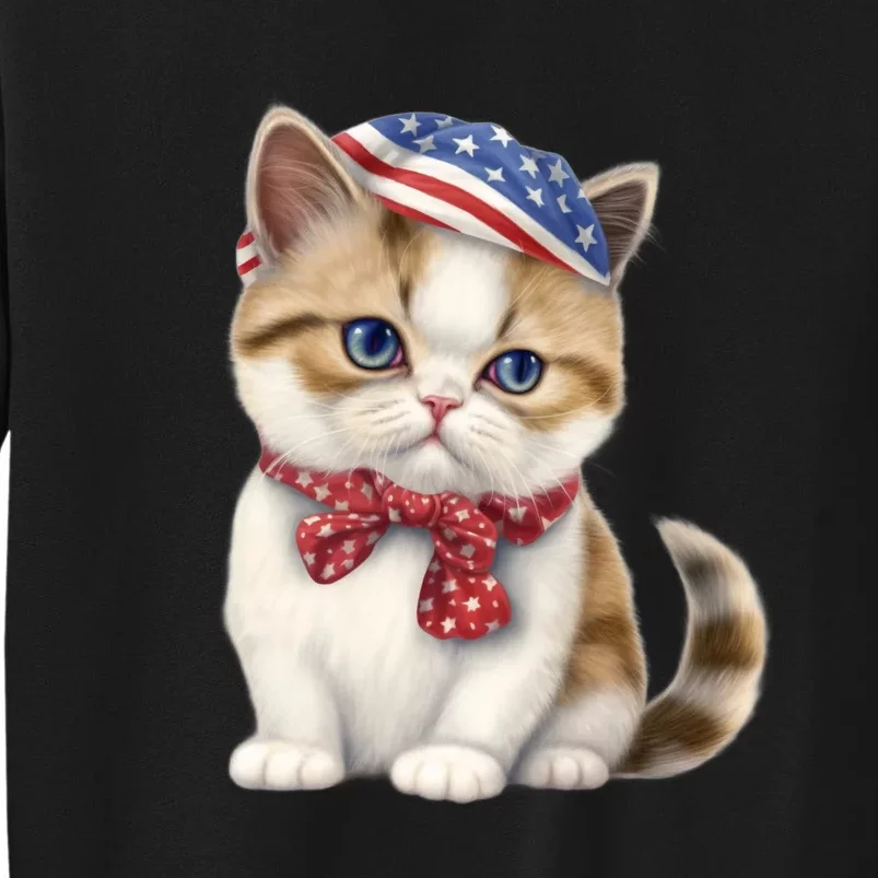 American Cat 4th Of July Cat Patriotic Cats Exotic Shorthair Kitten Tall Sweatshirt