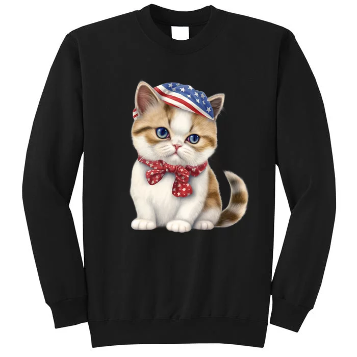 American Cat 4th Of July Cat Patriotic Cats Exotic Shorthair Kitten Tall Sweatshirt