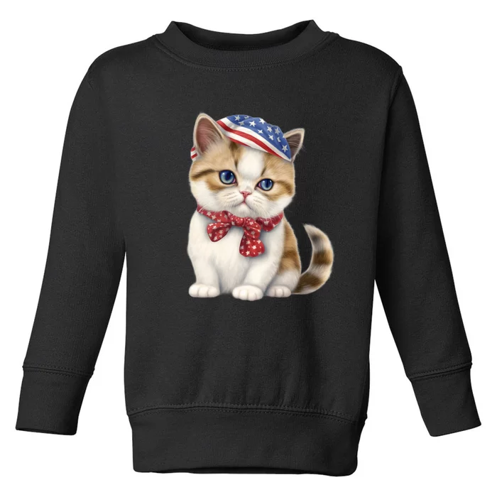 American Cat 4th Of July Cat Patriotic Cats Exotic Shorthair Kitten Toddler Sweatshirt