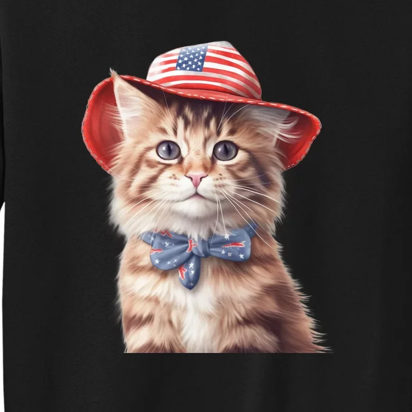 American Cat 4th Of July Cat Patriotic Cats Maine Coon Kitten Tall Sweatshirt