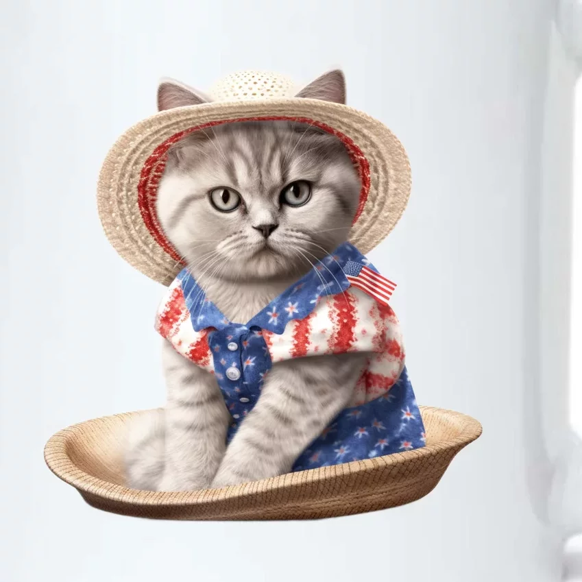 American Cat 4th Of July Cat Patriotic Cats British Shorthair Black Color Changing Mug