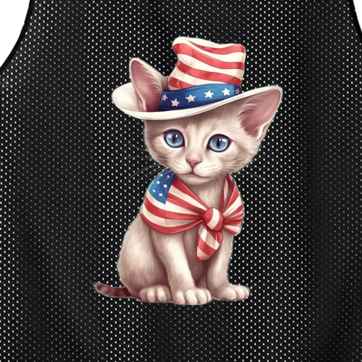 American Cat 4th Of July Cat Patriotic Cats Sphynx Kitten Mesh Reversible Basketball Jersey Tank