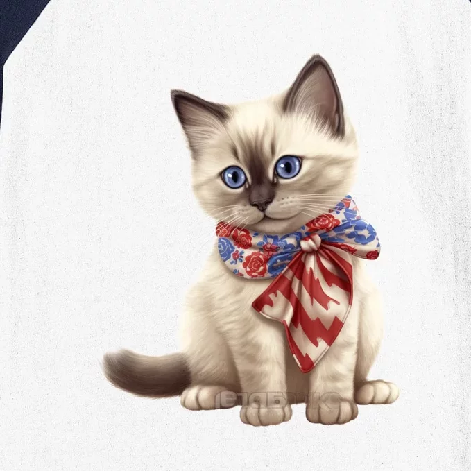 American Cat 4th Of July Cat Patriotic Cats Birman Kitten Baseball Sleeve Shirt