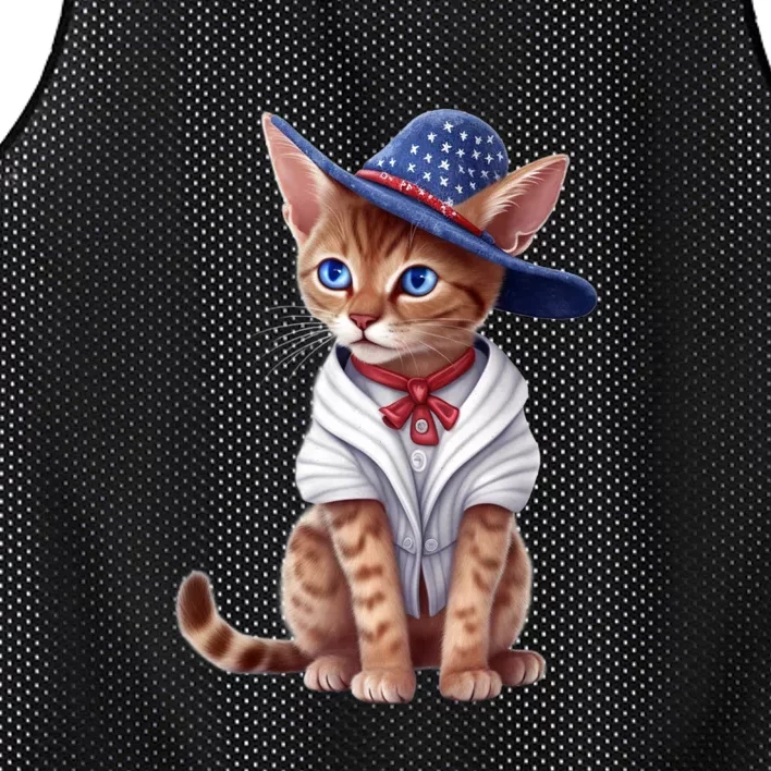 American Cat 4th Of July Cat Patriotic Cats Abyssinian Kitten Mesh Reversible Basketball Jersey Tank