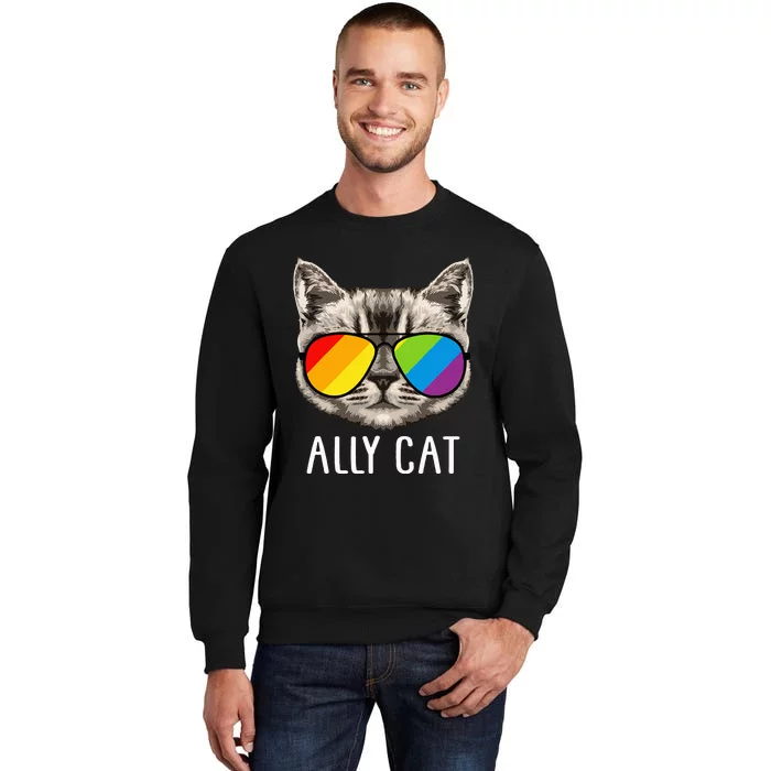 Ally Cat Ally Cat LGBTQ+ LGBT Flag LGBT Ally Cat Sweatshirt